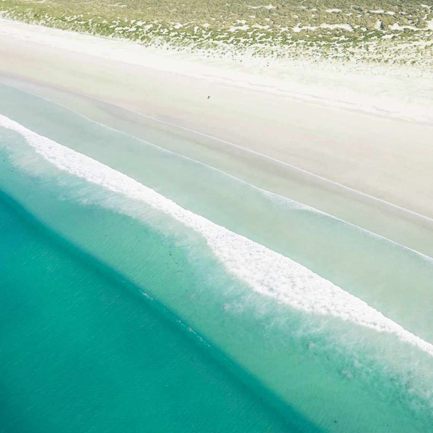 The Ten Thousand Things