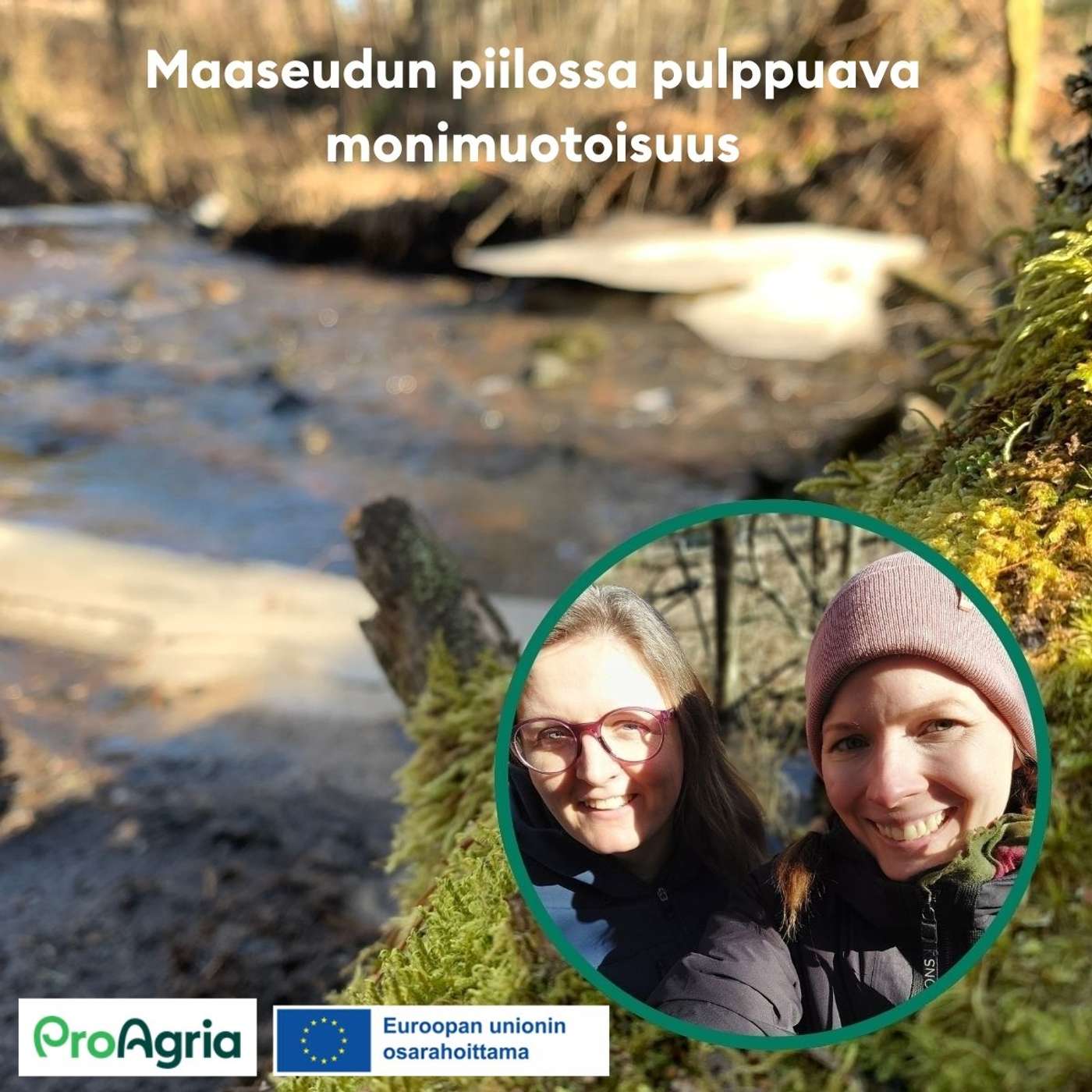 1. Maaseudun piilossa pulppuava monimuotoisuus