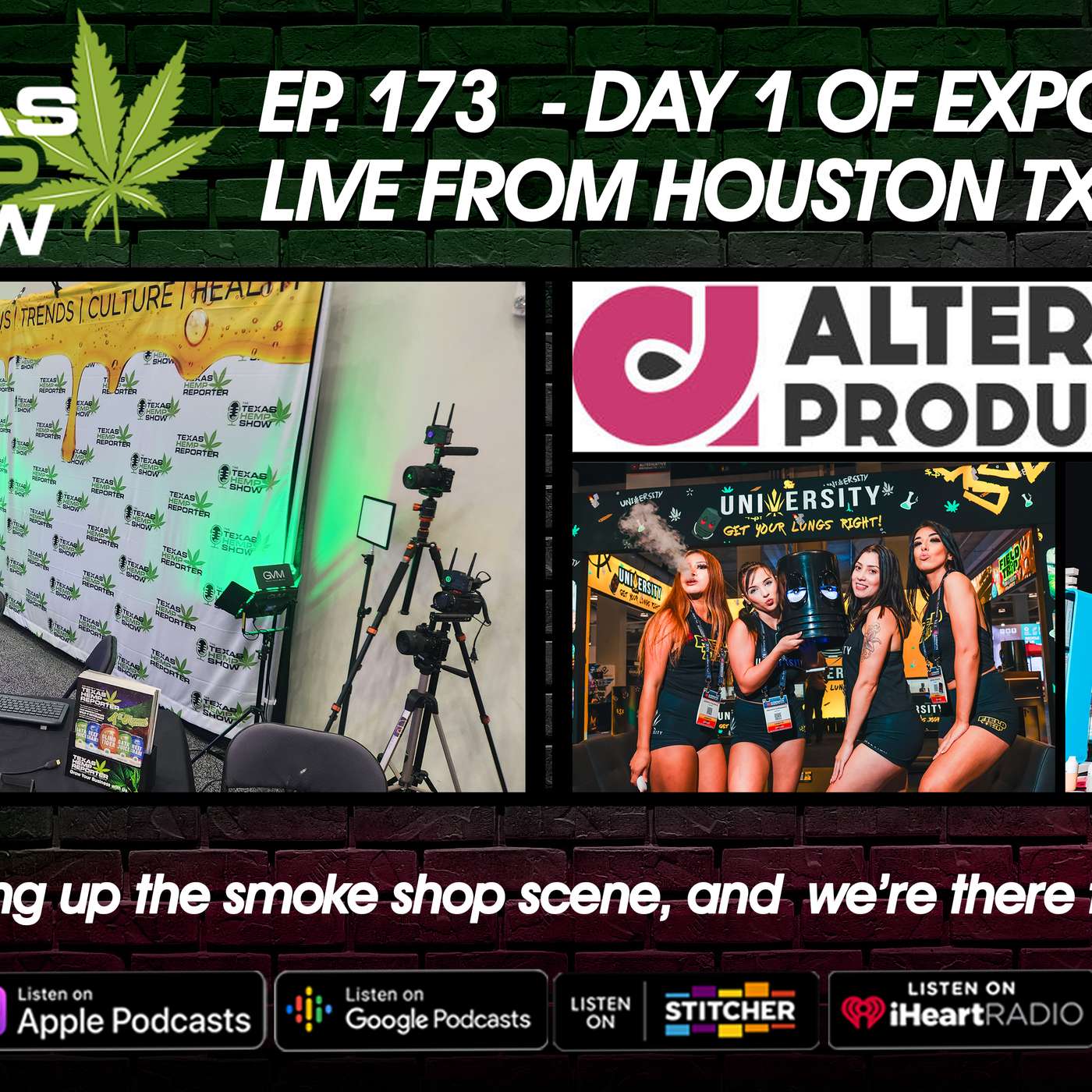 Episode # 173 Alt. Pro Expo - Day 1 episode artwork