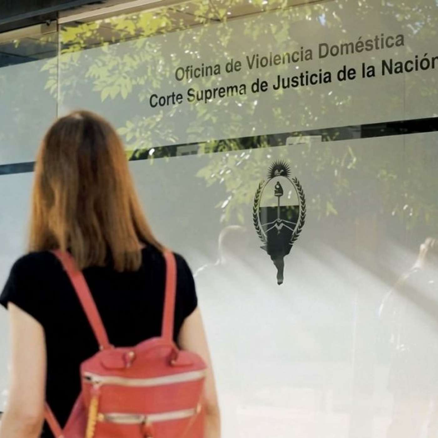 Falsas denuncias: entre lo que se cree y lo que muestran las estadísticas