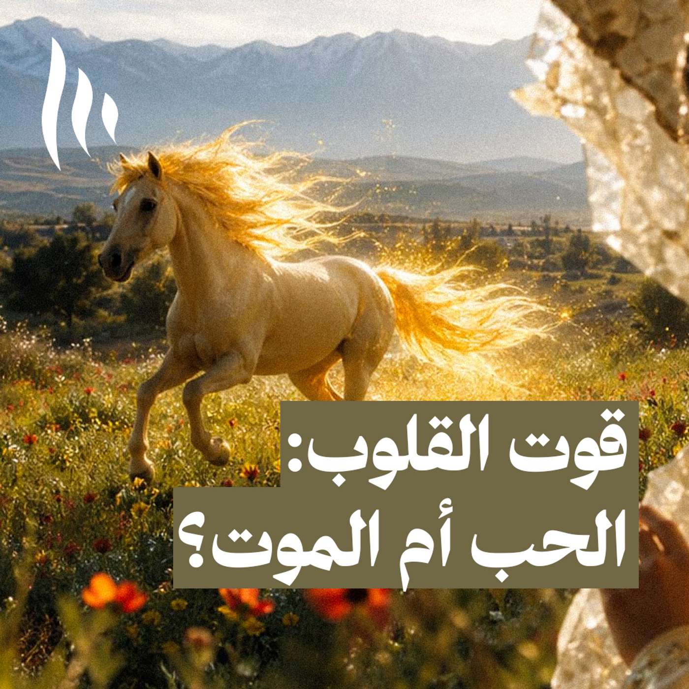 لالة قوت القلوب episode artwork