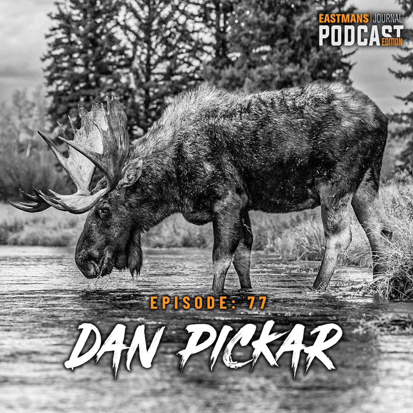 #77 | Say Goodbye Moose, Sheep & Goat Hunts in Montana? | Dan Pickar | episode artwork
