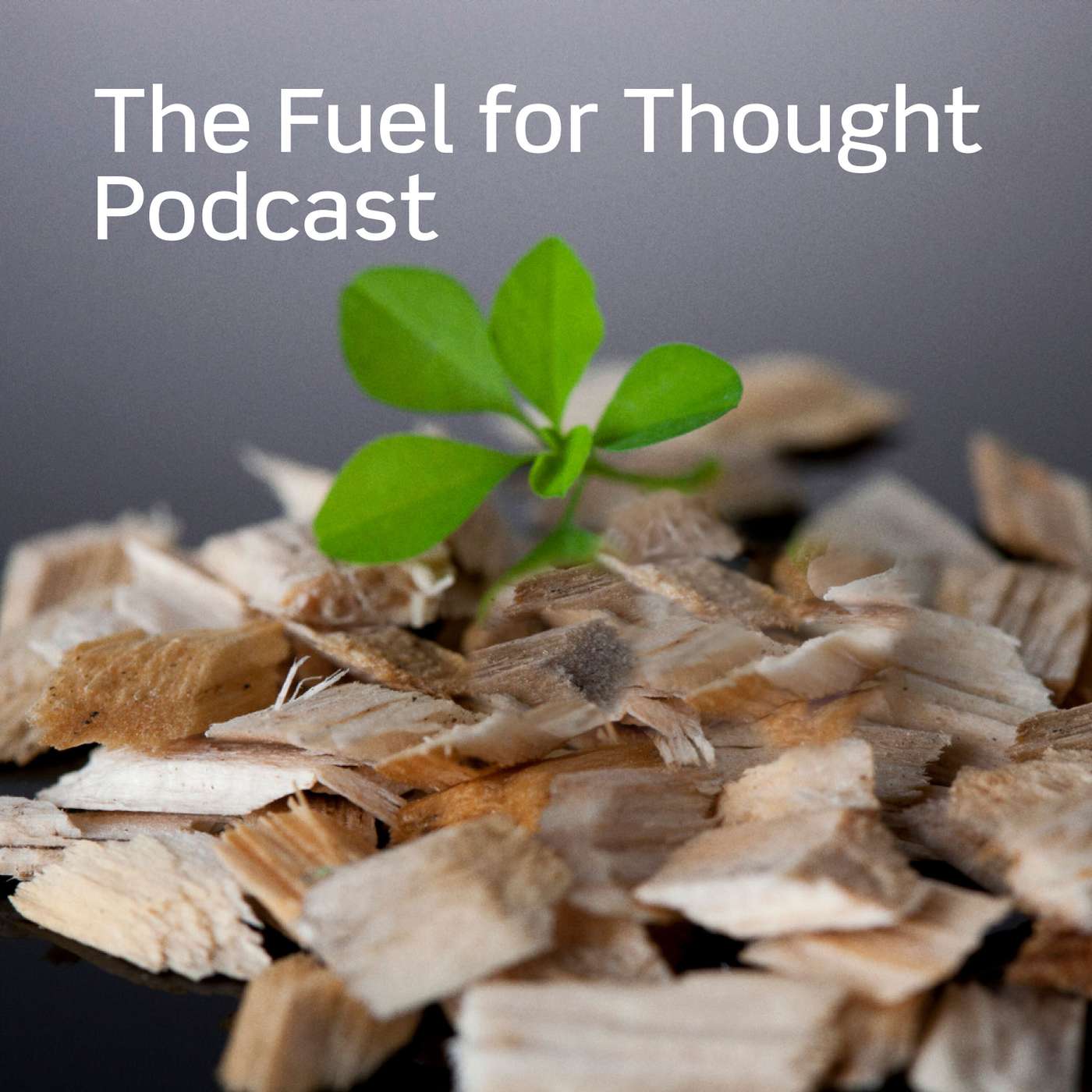 The Fuel for Thought Podcast