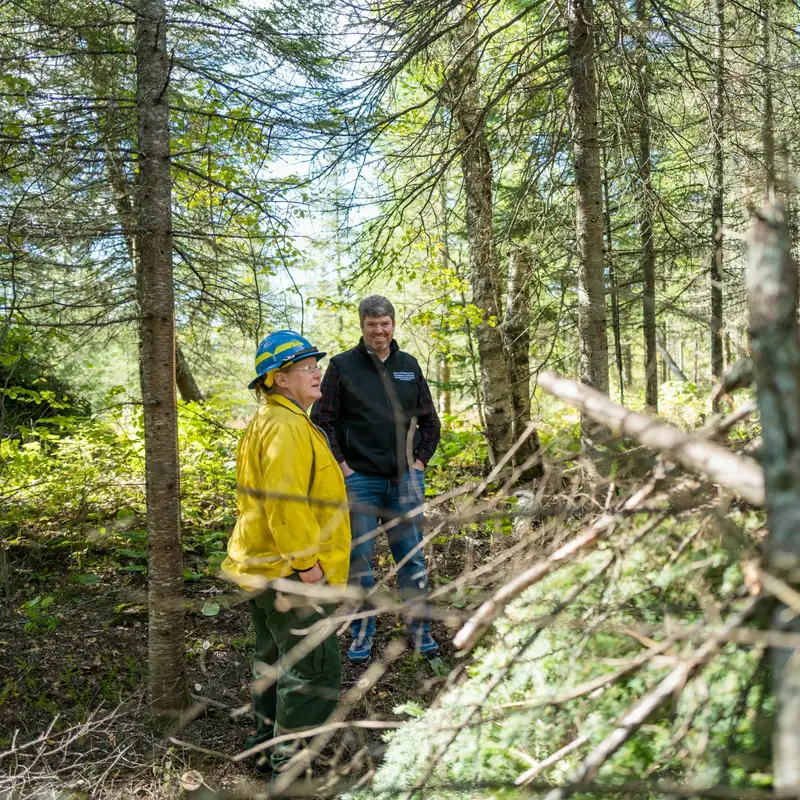 Converting Wildfire Fuel Into Biochar In Superior National Forest