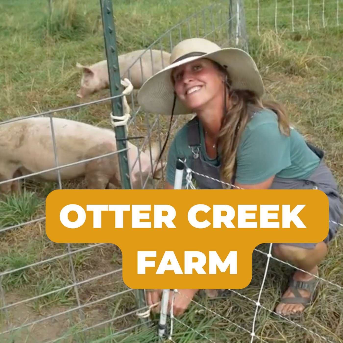 Soil-Health Principles And Adaptive Stewardship In Practice (Live Farm Tour) - Otter Creek Farm | #102