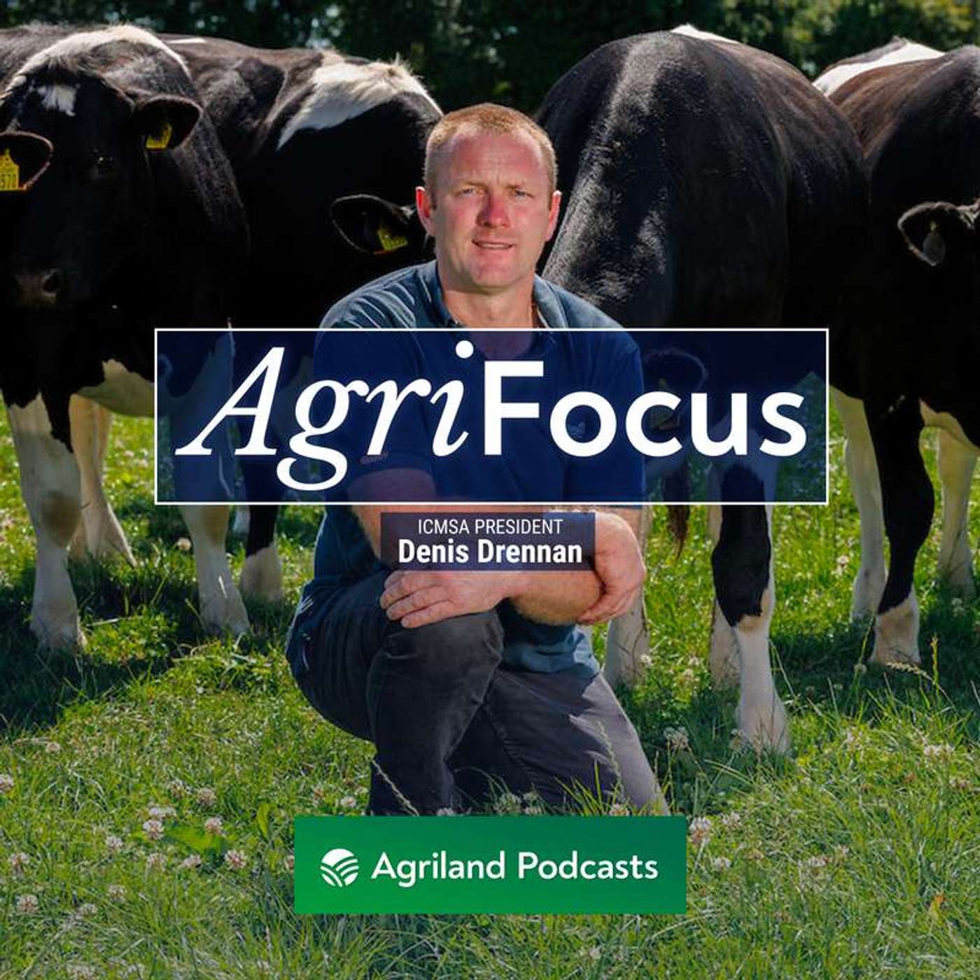 AgriFocus: Top issues for farmers as elections loom with Denis Drennan