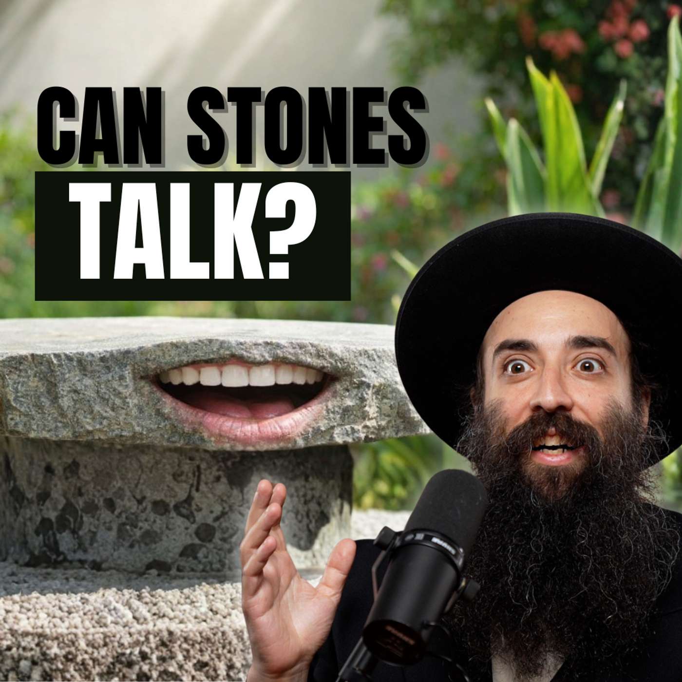 Will Plants and Stones Talk in the Future?