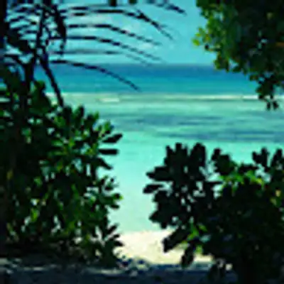 image of podcast supporter