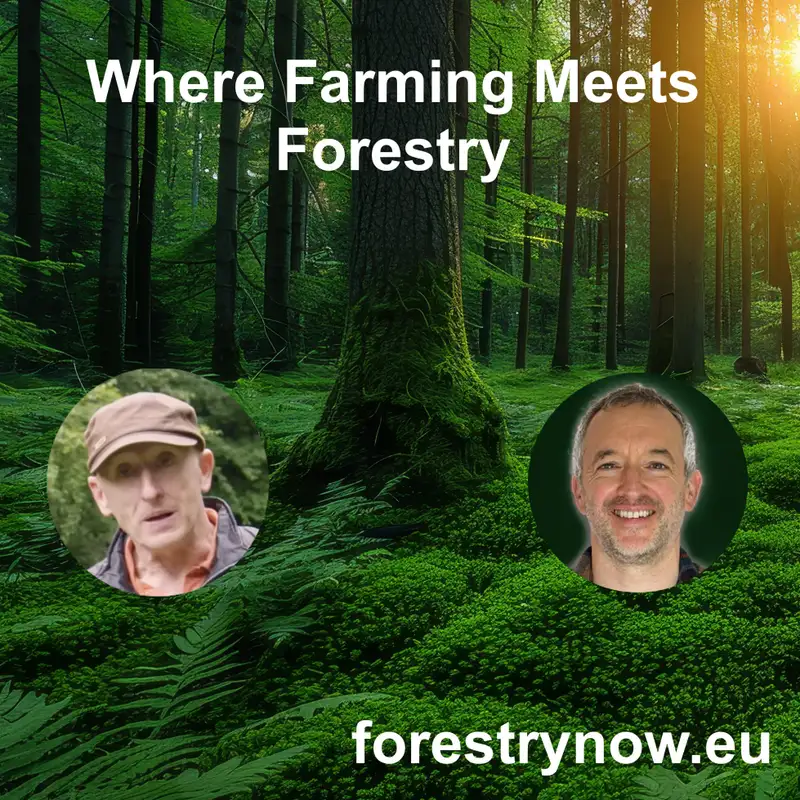 Where Farming Meets Forestry - with Andy Dunne