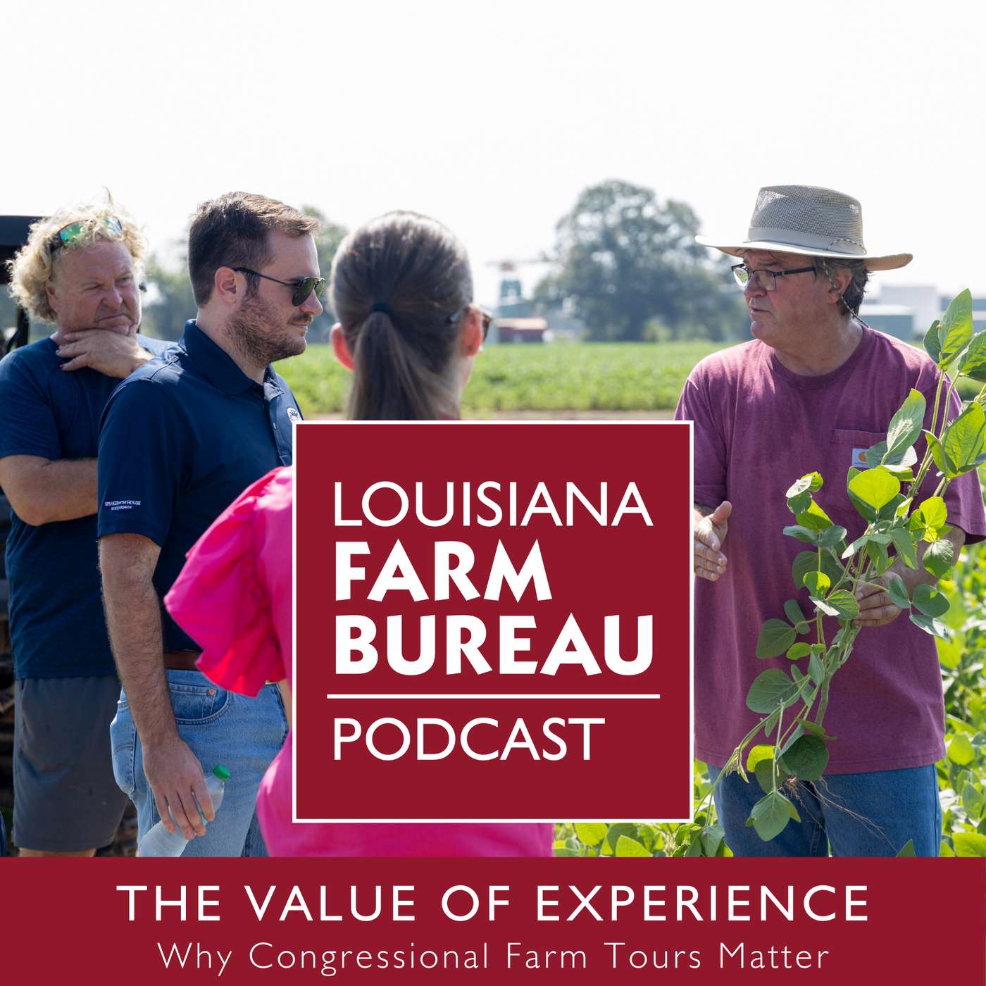 The Value of Hands-On Experience for Congressional Staff episode artwork