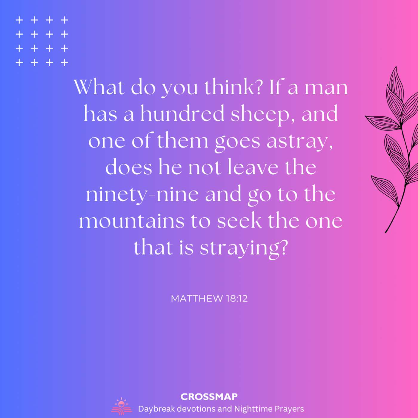 Herding Sheep - A Nighttime Prayer