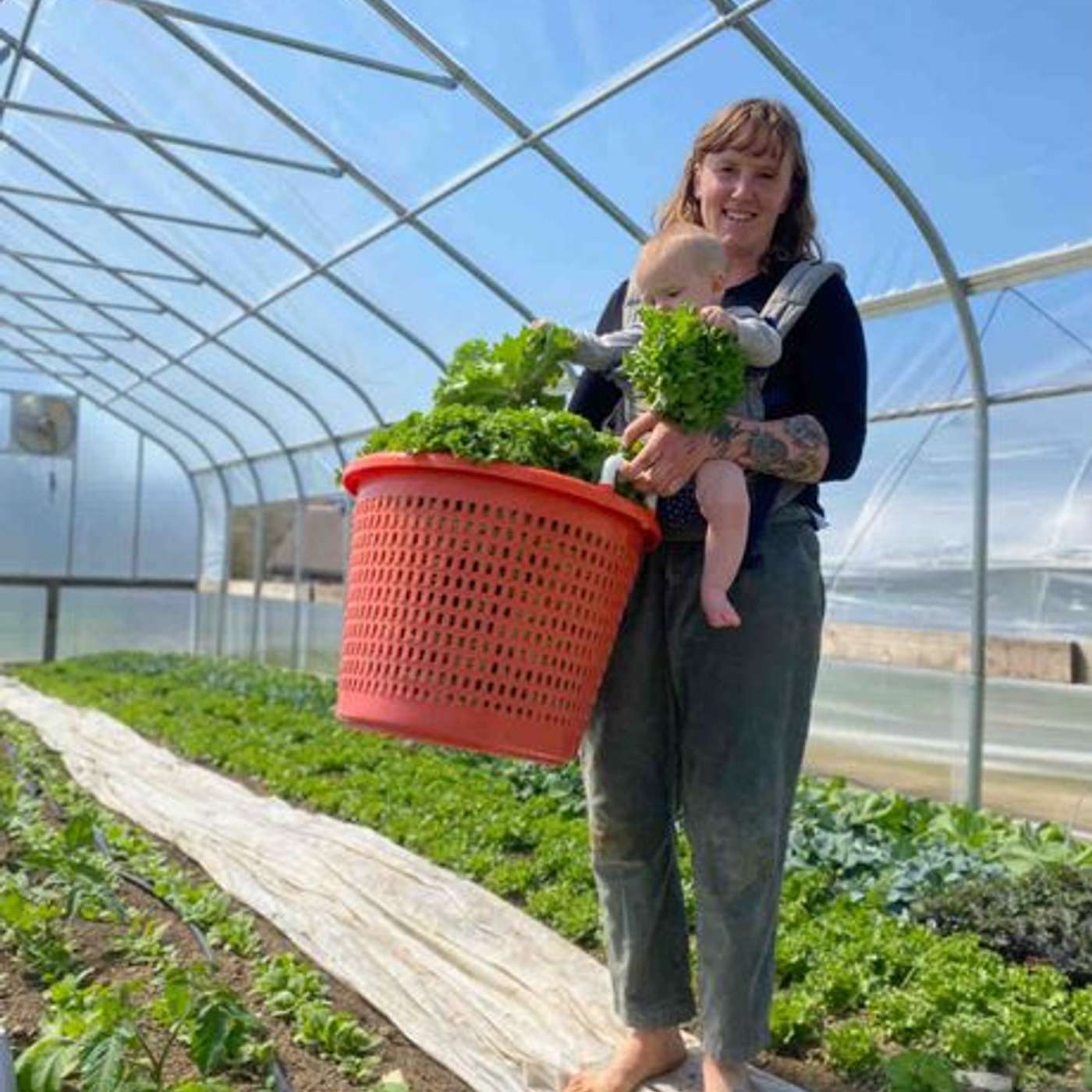 Digging In The Dirt with Kevin Gallagher