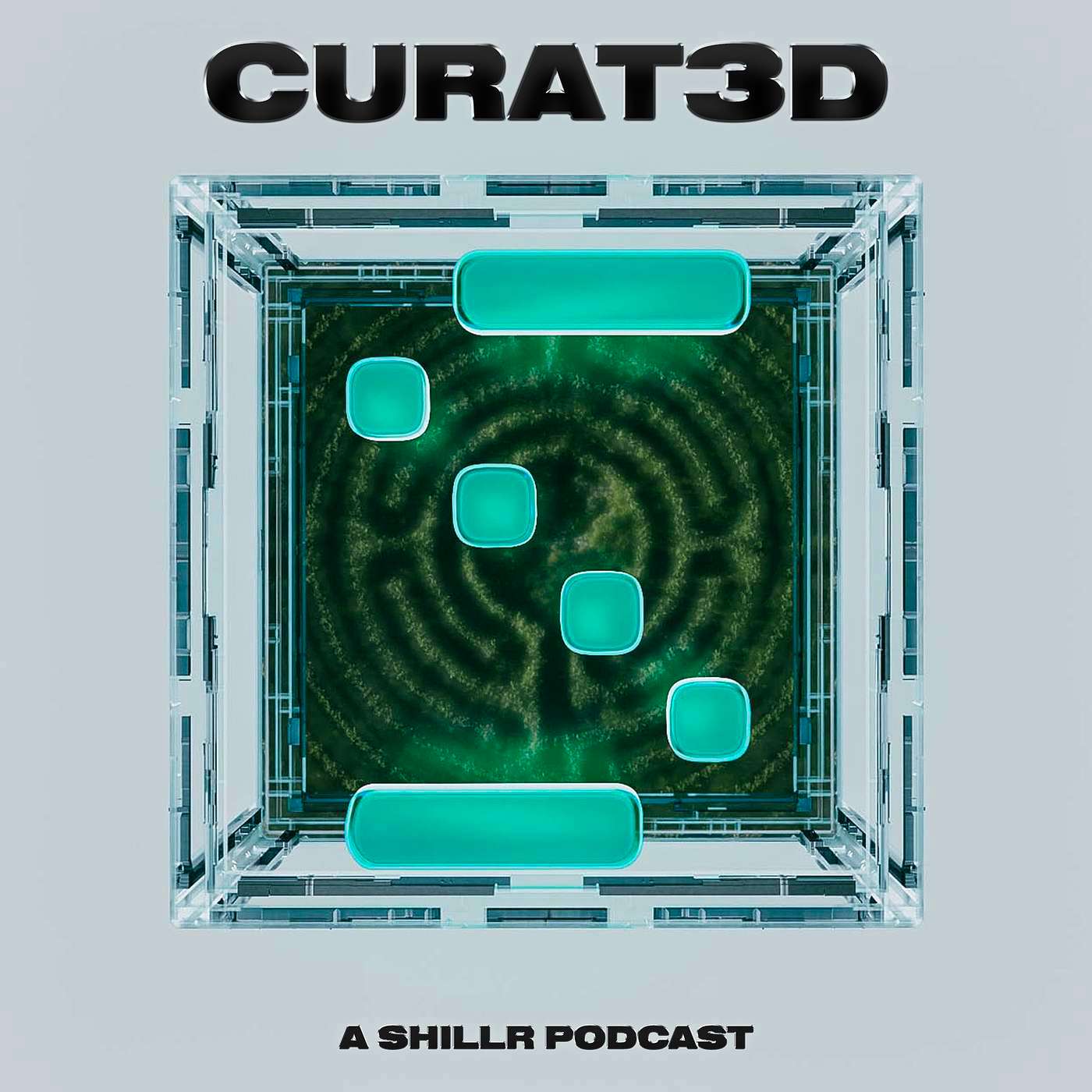 CURAT3D: Chewy Stoll's Exploration of Life through 3D Art episode artwork