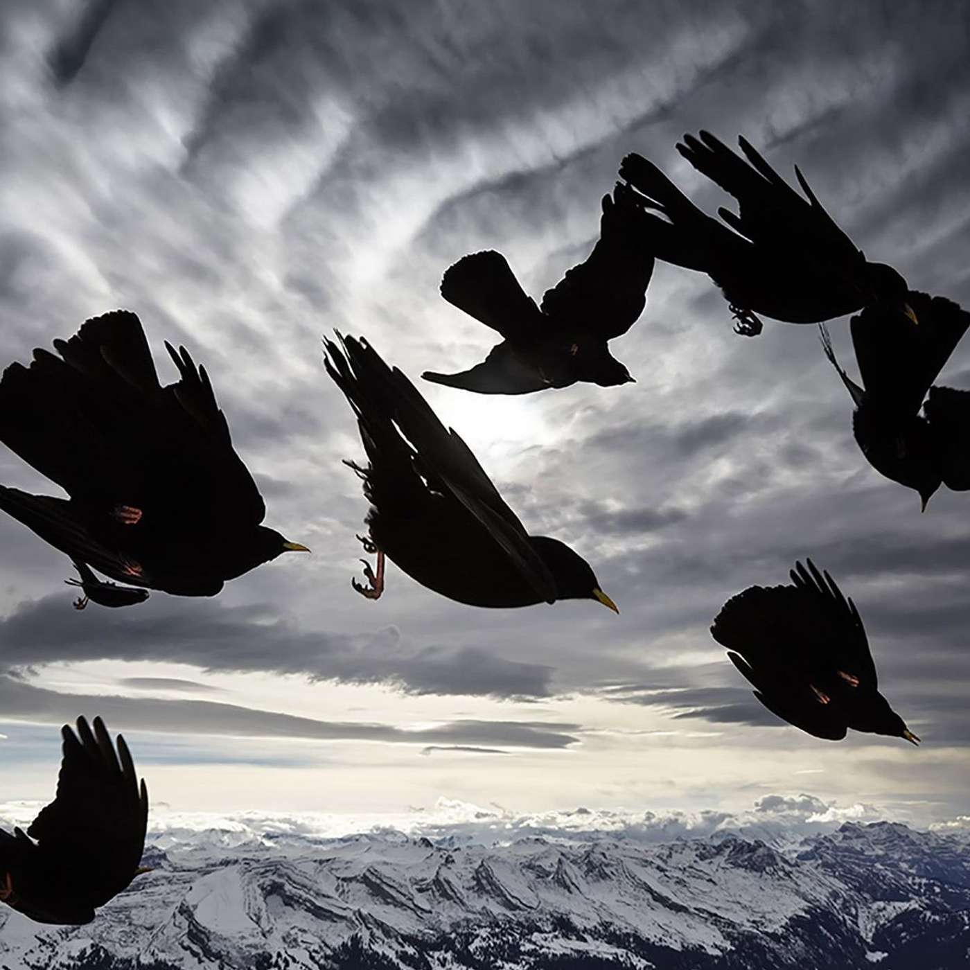 Empire of flight