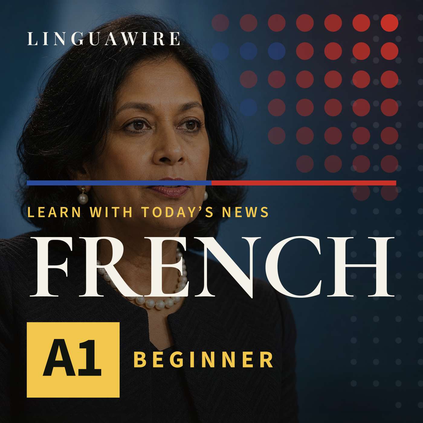 A1 French News | Can Guyana's Candidate Win the UN Race?