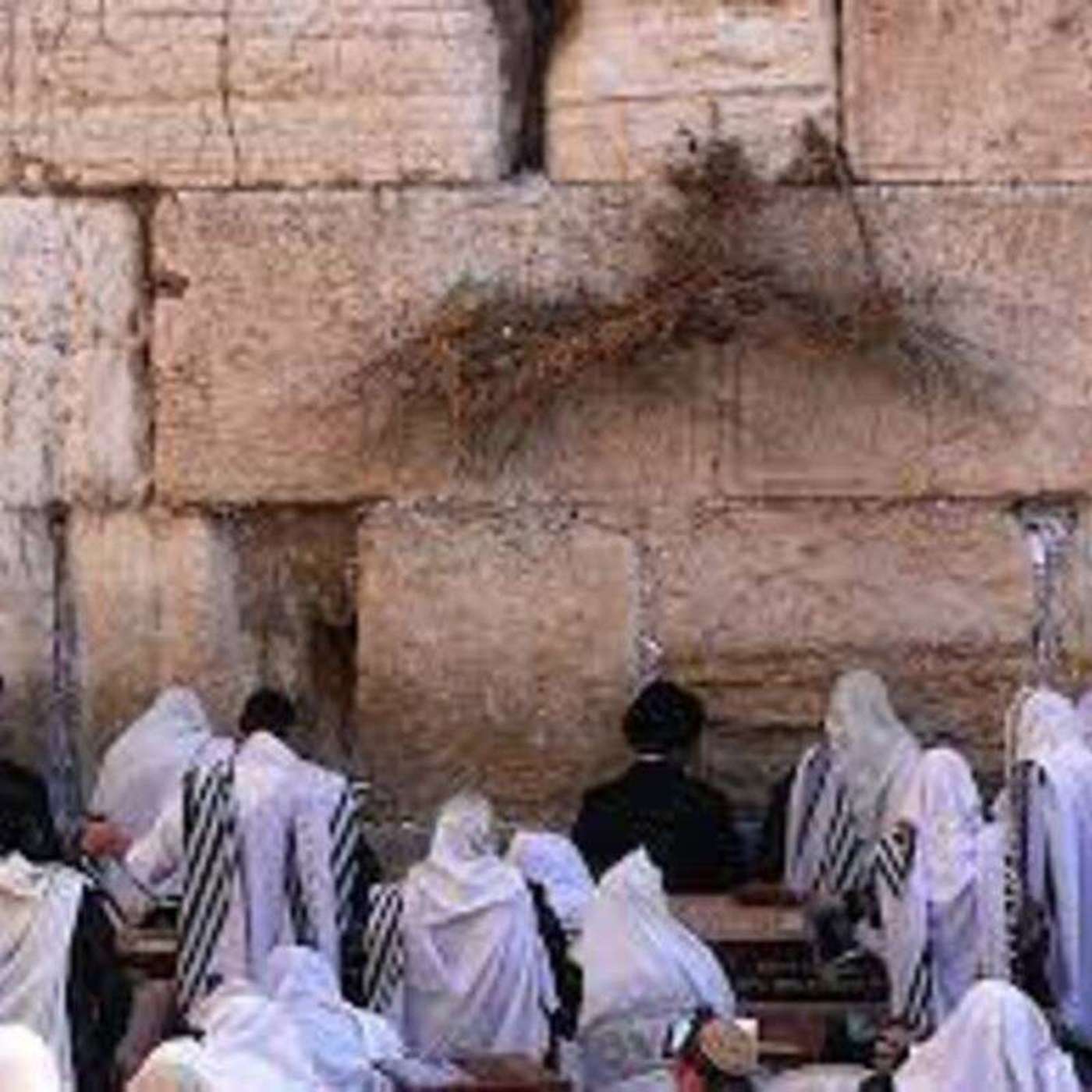 A match made at the kotel. episode artwork