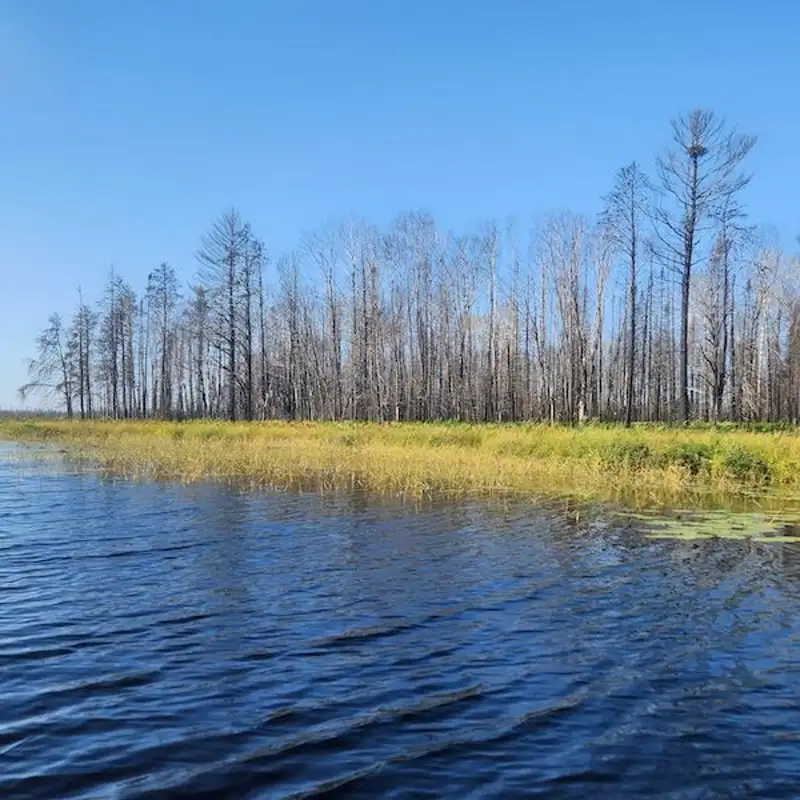 Researchers Study Inland Lake Water Quality Impacts Following 2021 Greenwood Fire