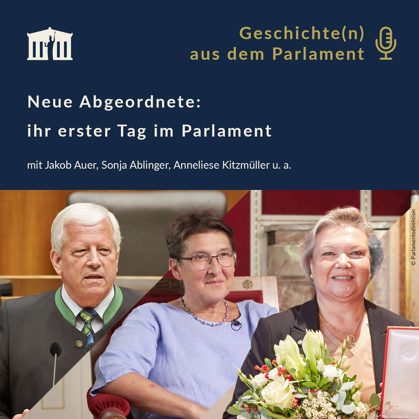 Neue Abgeordnete: ihr erster Tag im Parlament episode artwork