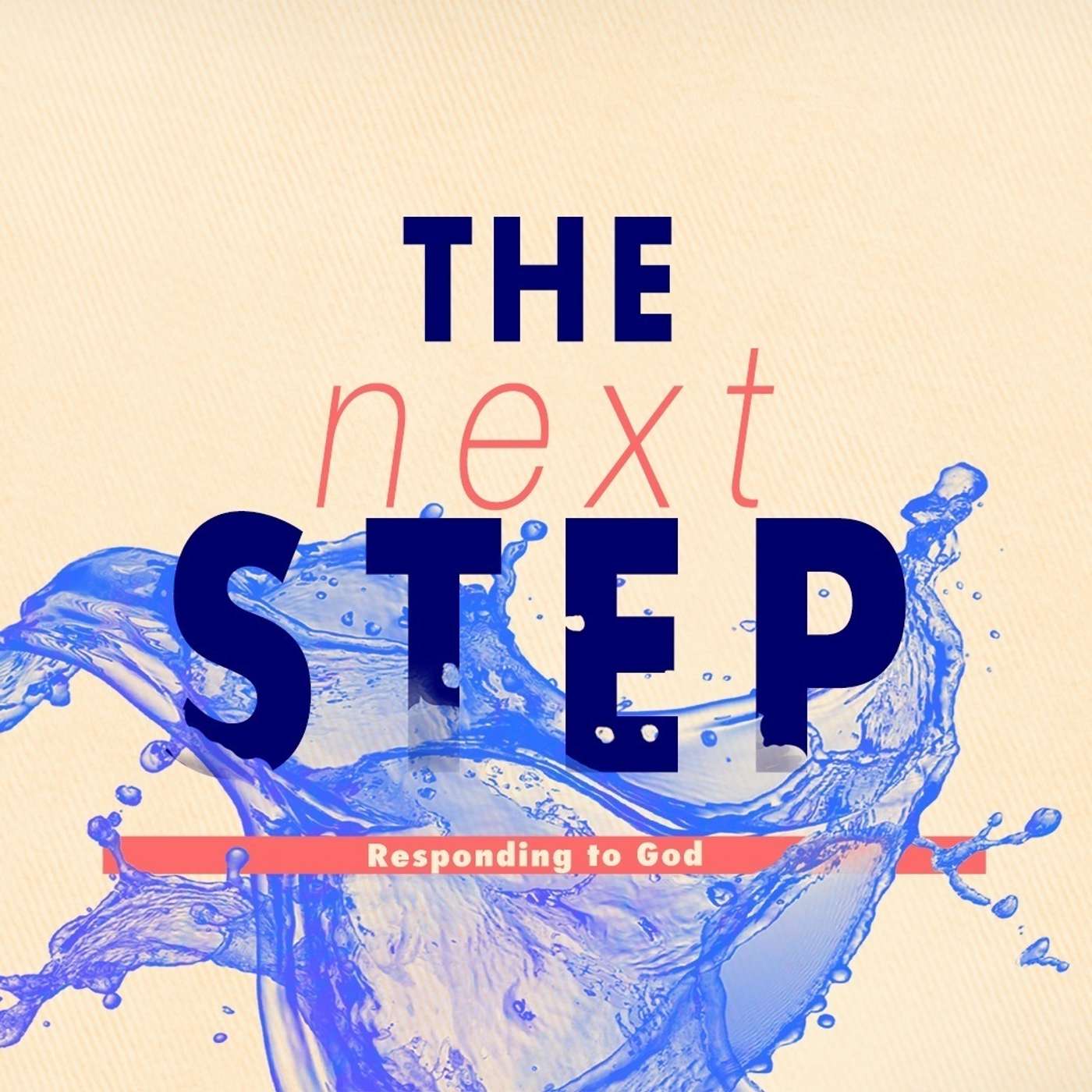 The Next Step episode artwork