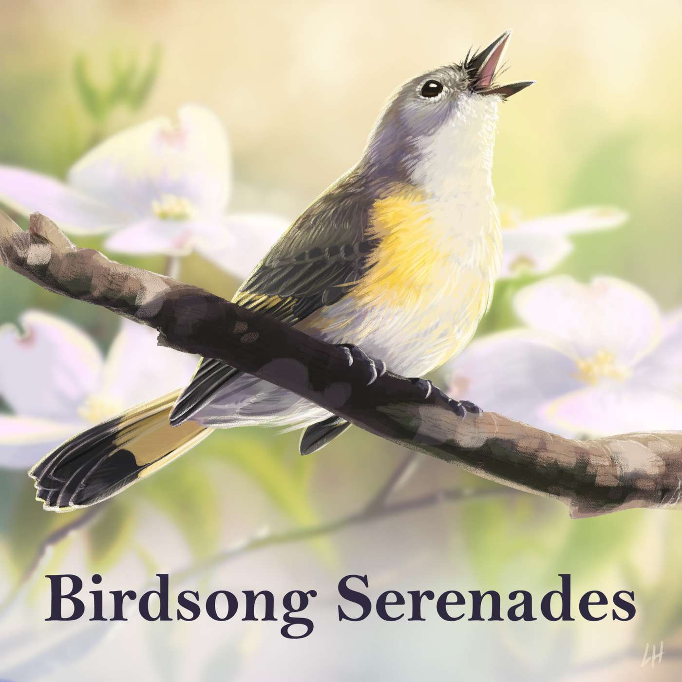 Serenades: Red-eyed Vireo episode artwork
