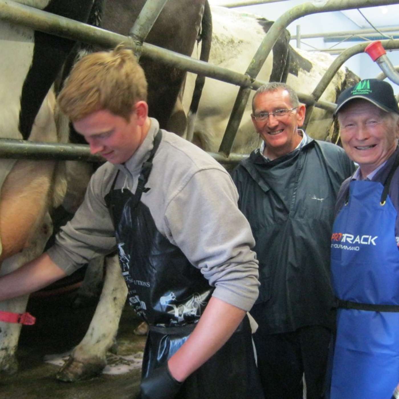 FRS Training: Best Practice in Milking