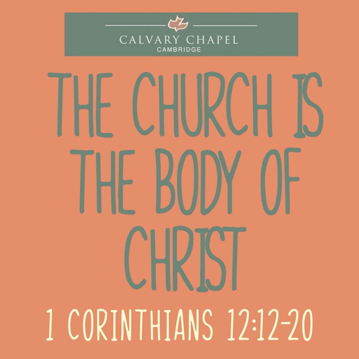 The Church Is The Body Of Christ