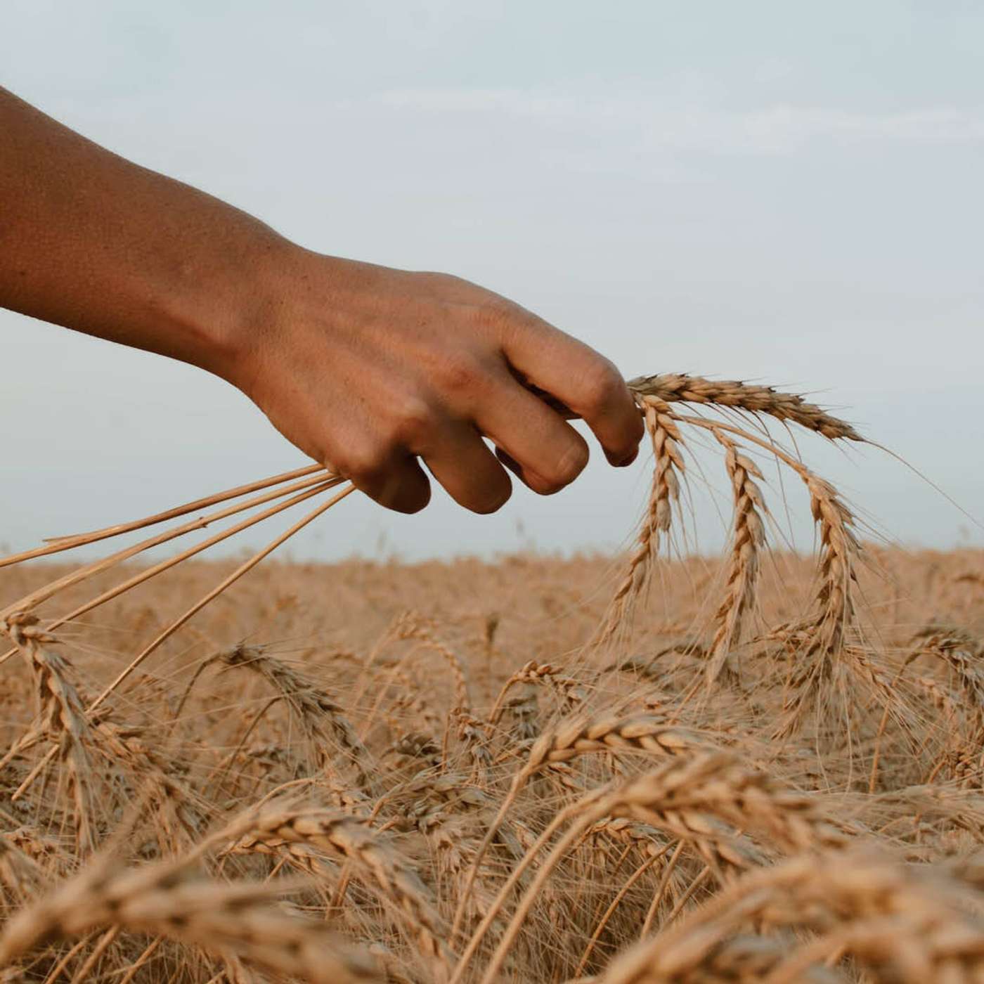 BLOG | What Would It Look Like If We Treated Others the Way God Treats Us? episode artwork