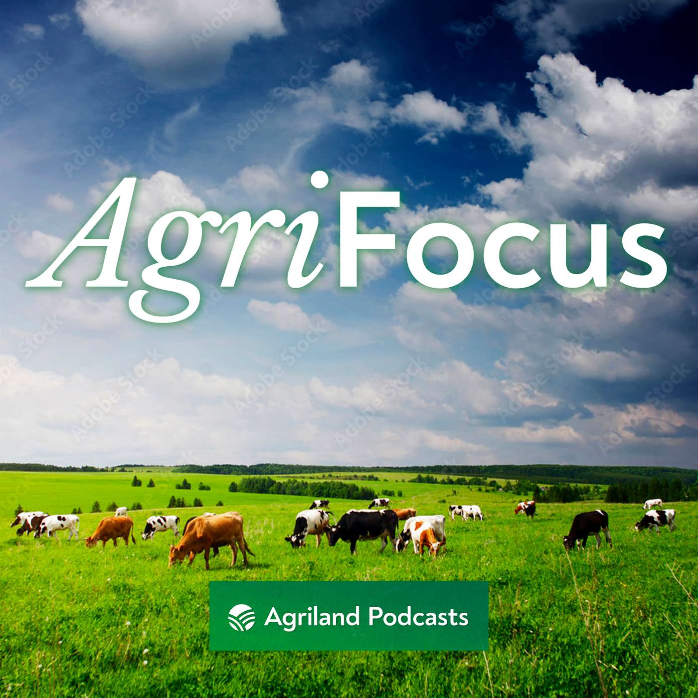 AgriFocus: Budget 2025 Special - what it means for you