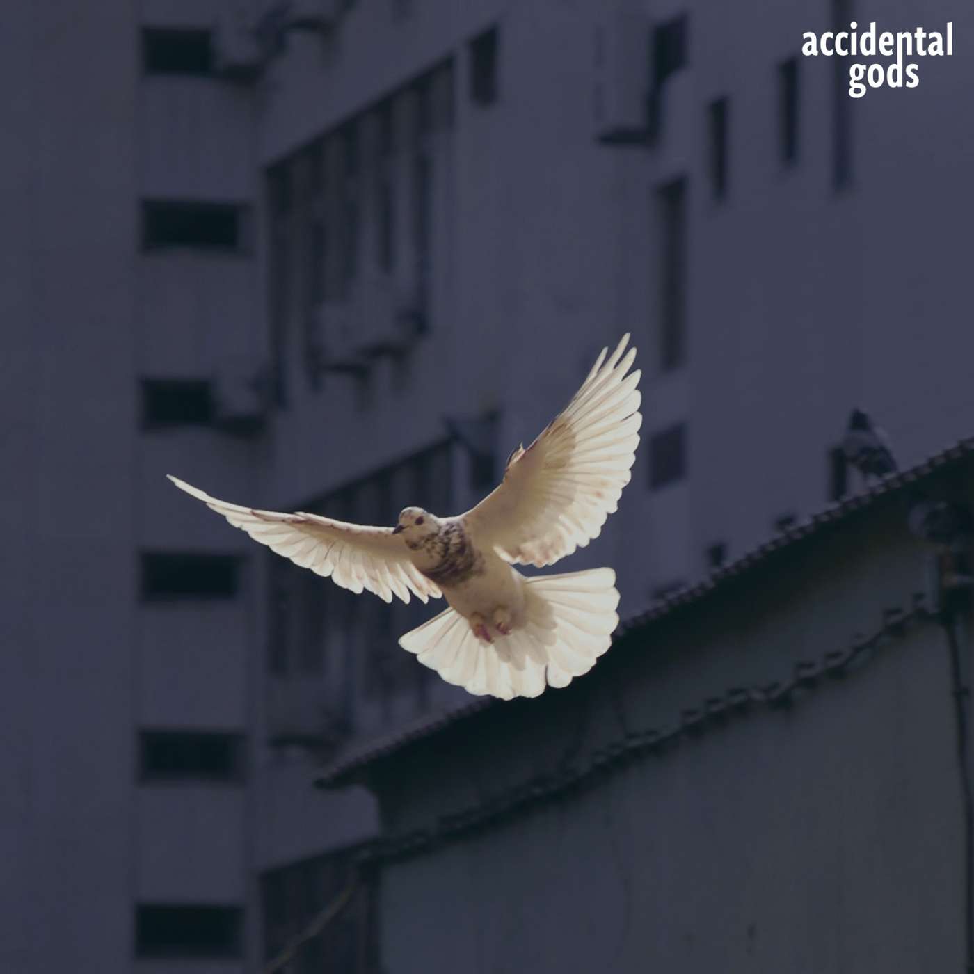 This Mighty Heart: exploring the power of Heart Intelligence with Scilla Elworthy