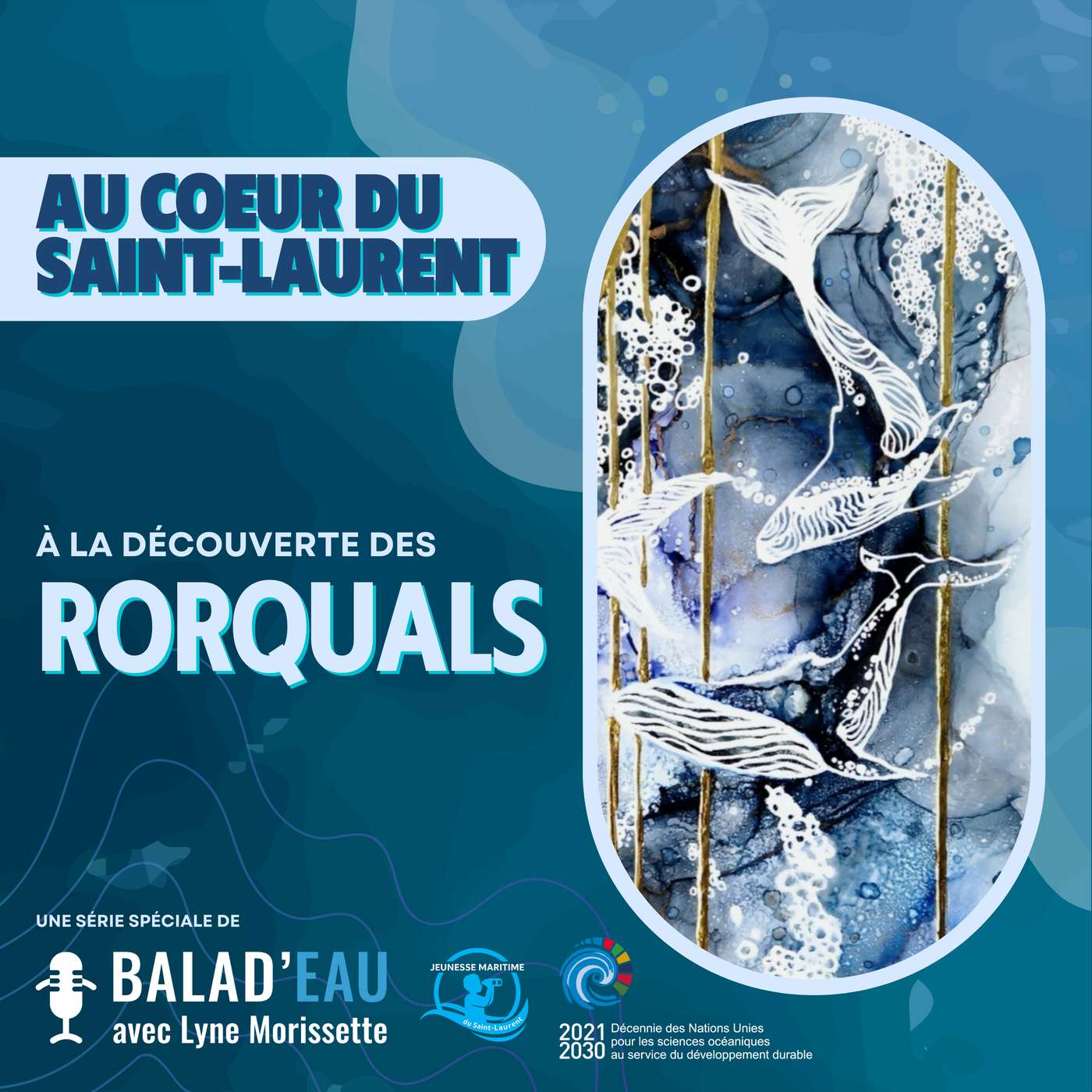 AU COEUR DU SAINT-LAURENT: à la découverte de la BALEINE BLEUE et des GRANDS RORQUALS