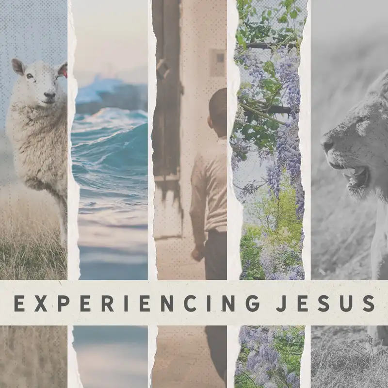 What Is Life to the Full? (John 10)