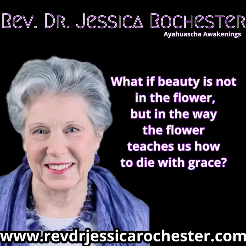 Rev. Dr. Jessica Rochester - The Dark Side of Beauty