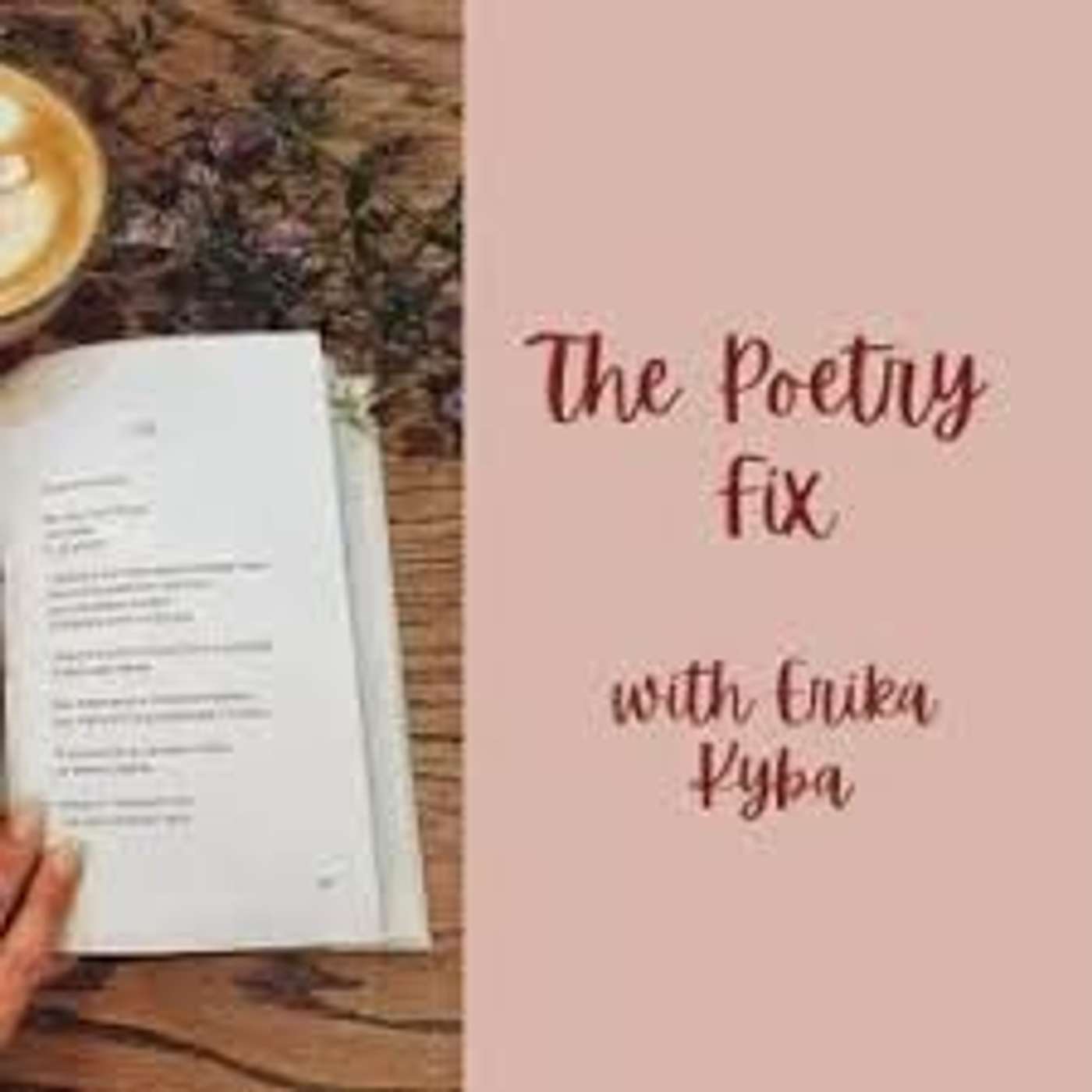 The Poetry Fix: How Many Nights episode artwork