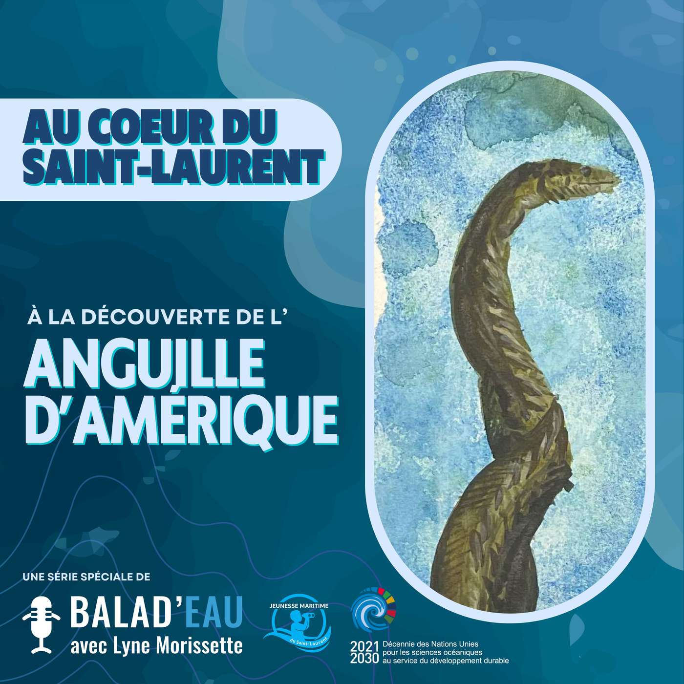 AU COEUR DU SAINT-LAURENT: à la découverte de l'ANGUILLE D'AMÉRIQUE