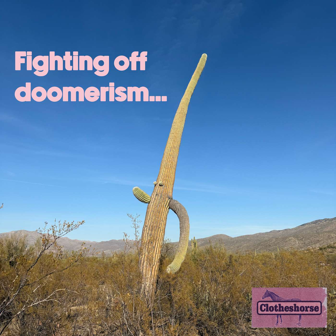 Clotheshorse with Amanda Lee McCarty