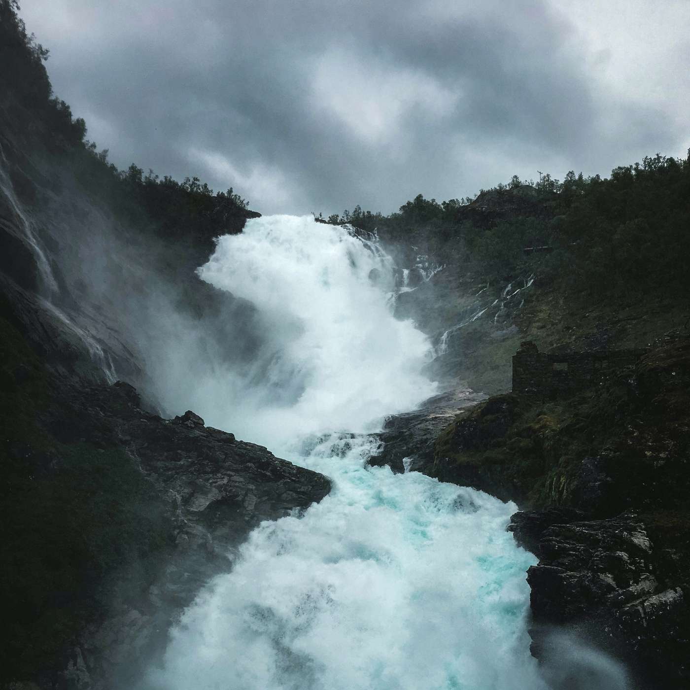 Going Forth with Compassion - Bansho Green