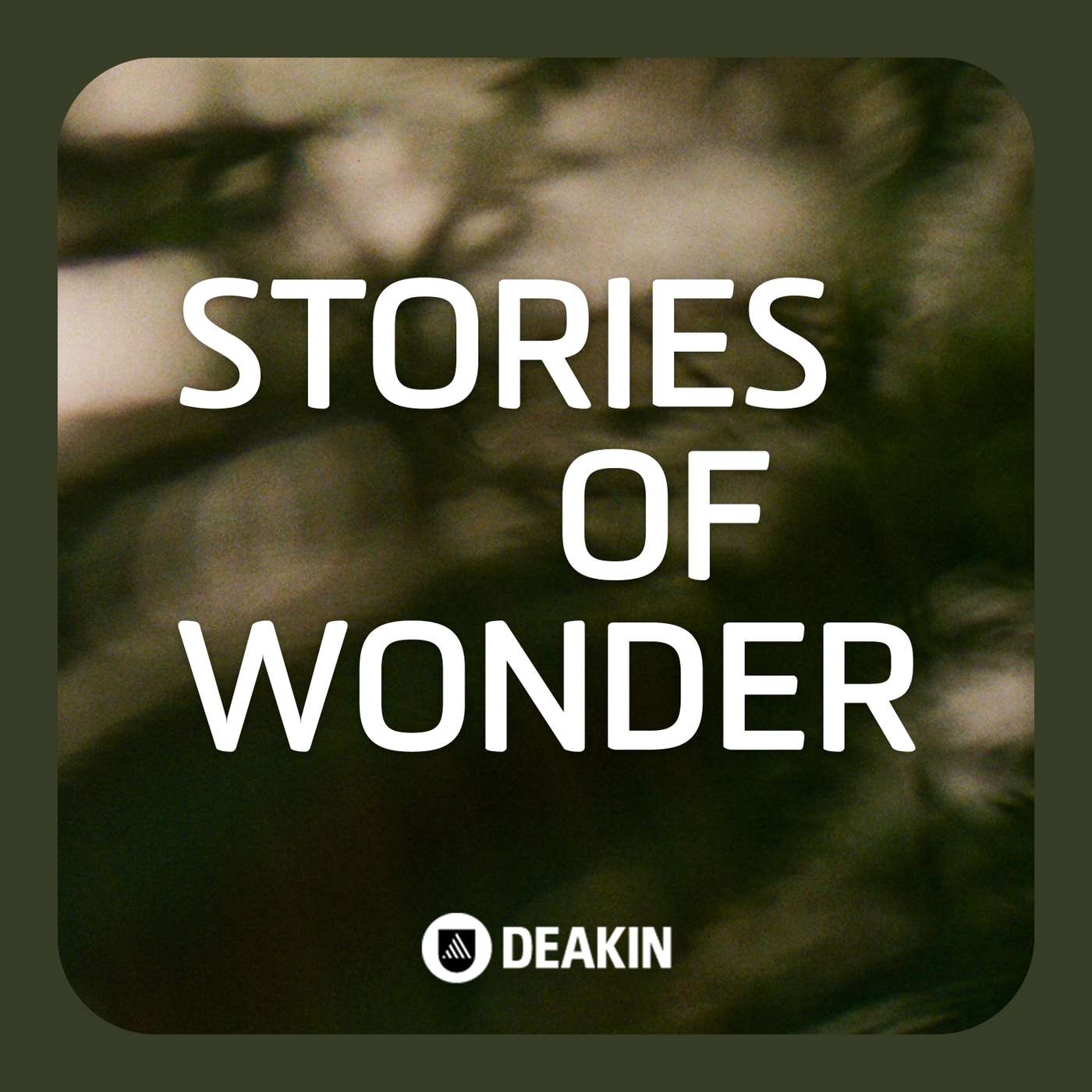 Stories of Wonder