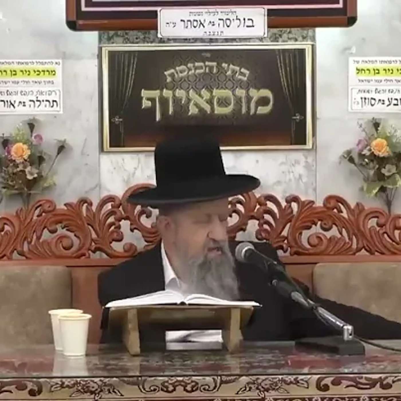 הרב בן ציון מוצפי | פרשת כי תבוא תשפה episode artwork