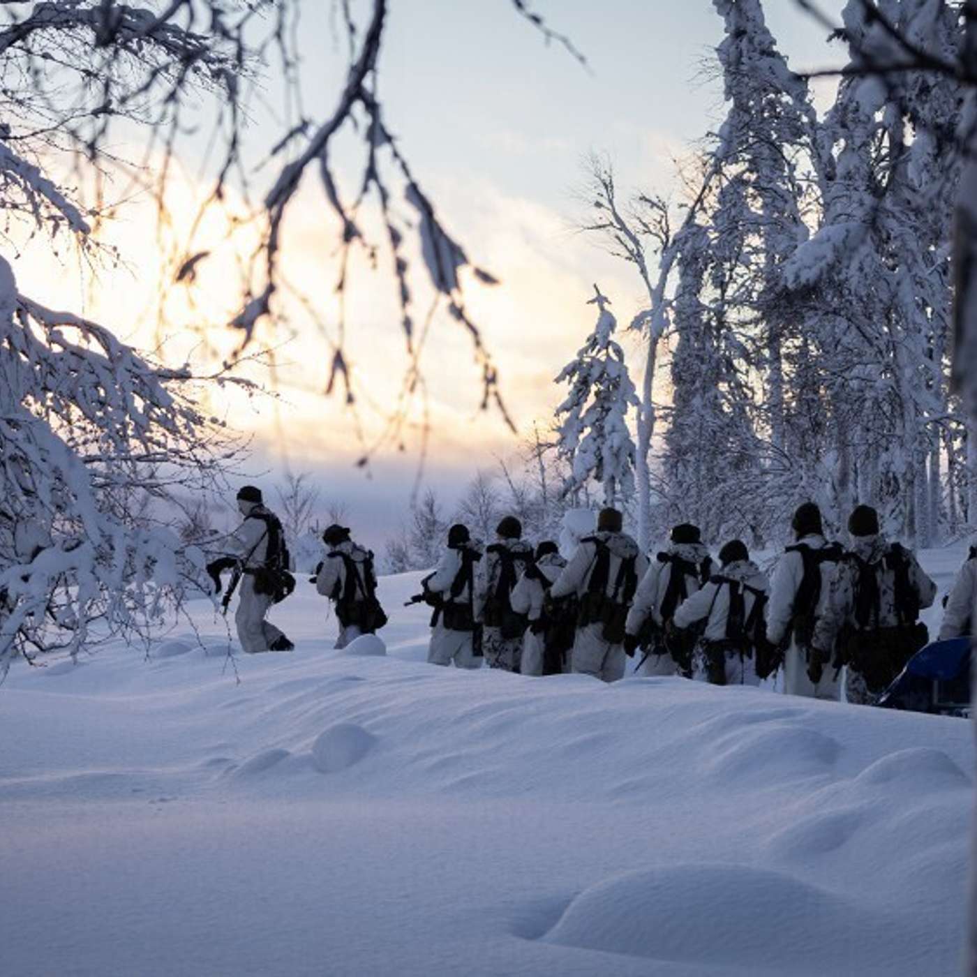 Американские военные приступили к арктической подготовке на севере Финляндии