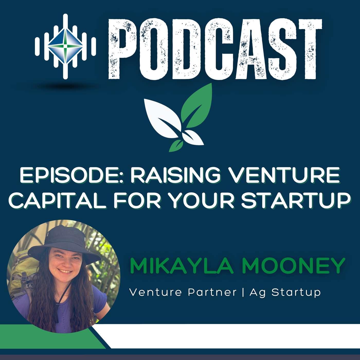 Raising Venture Capital for your Startup episode artwork