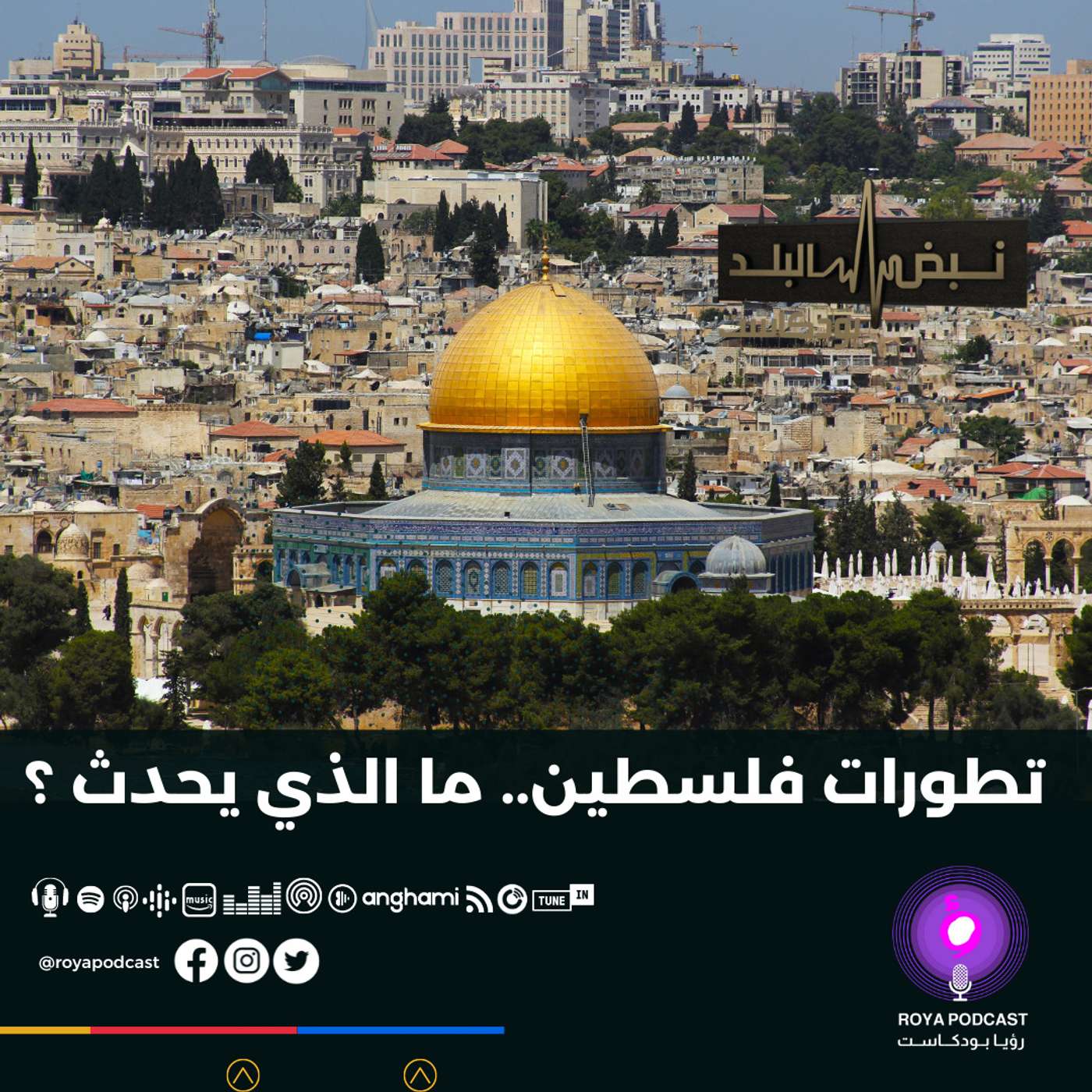 تطورات فلسطين.. ما الذي يحدث ؟