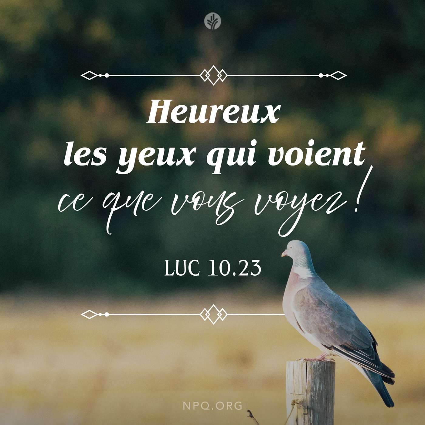 Dieu m’a ouvert les yeux