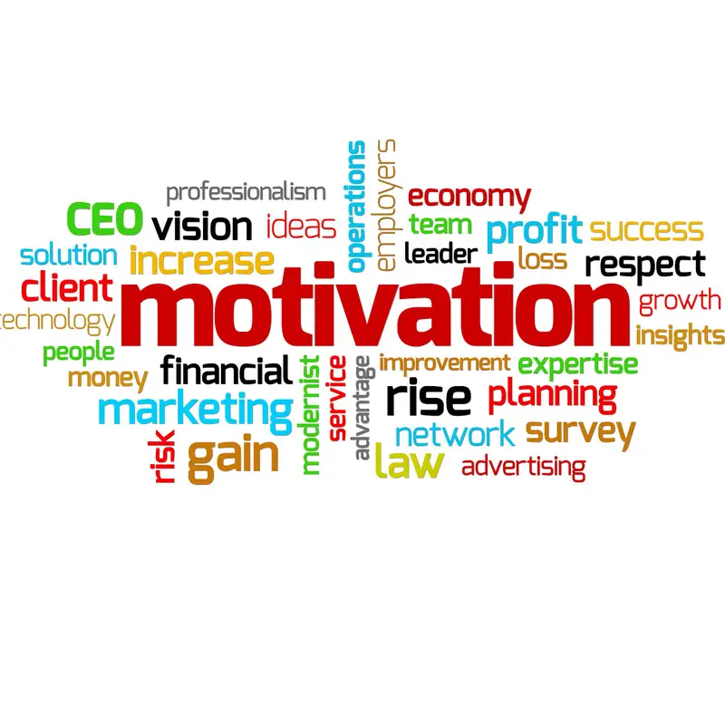 Episode 016 - Motivation at Work