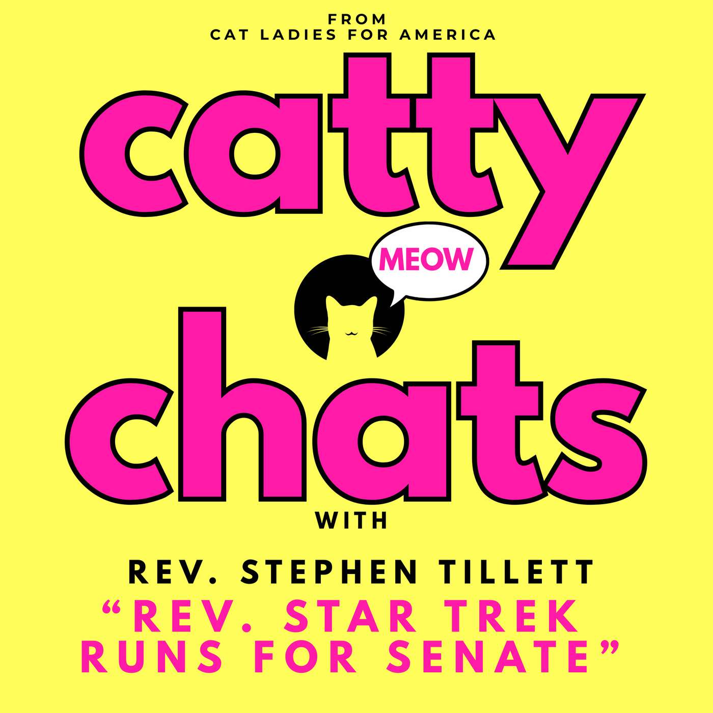 REV. STAR TREK RUNS FOR SENATE episode artwork