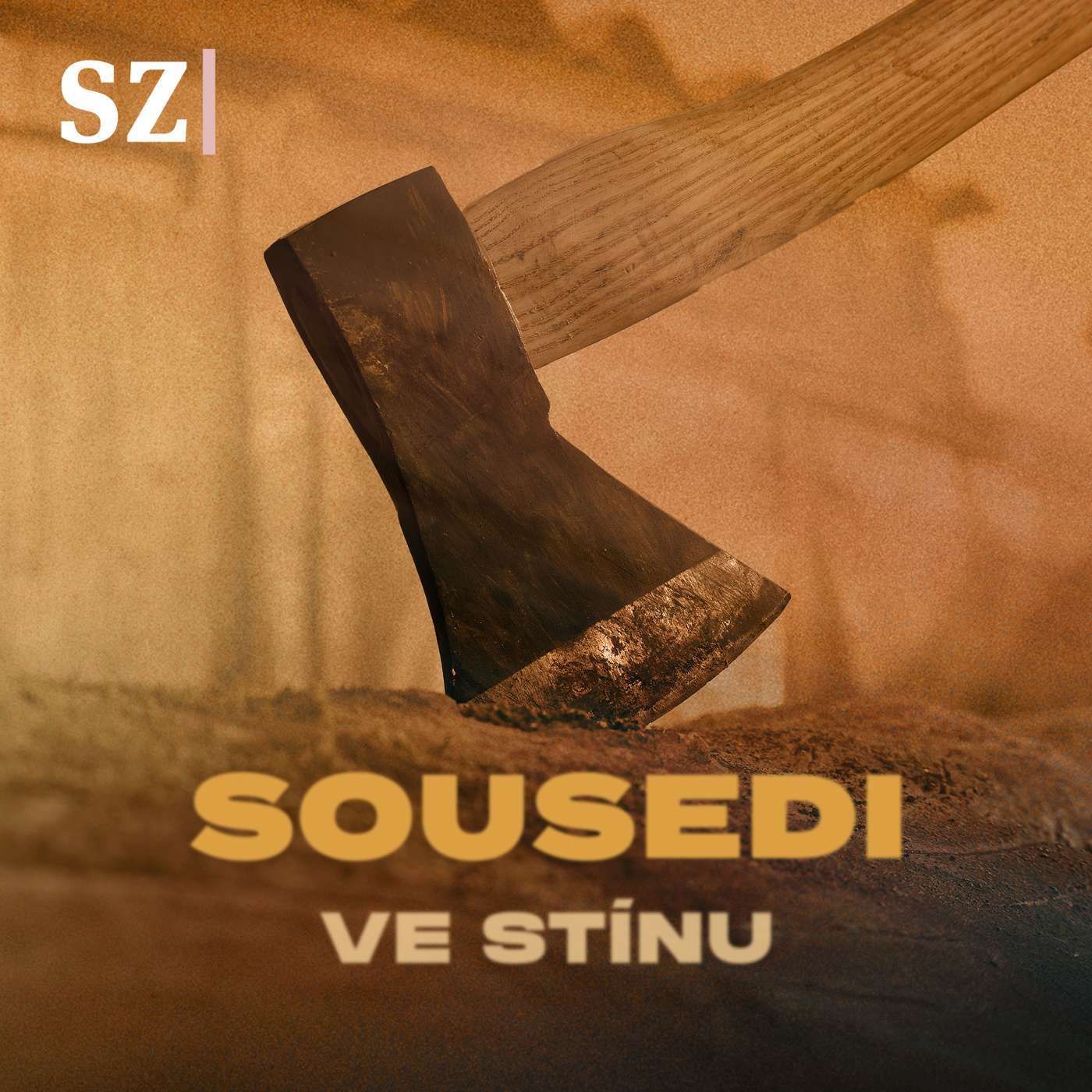 Muž se sekerou se přiznal. Přesto platil nevinný