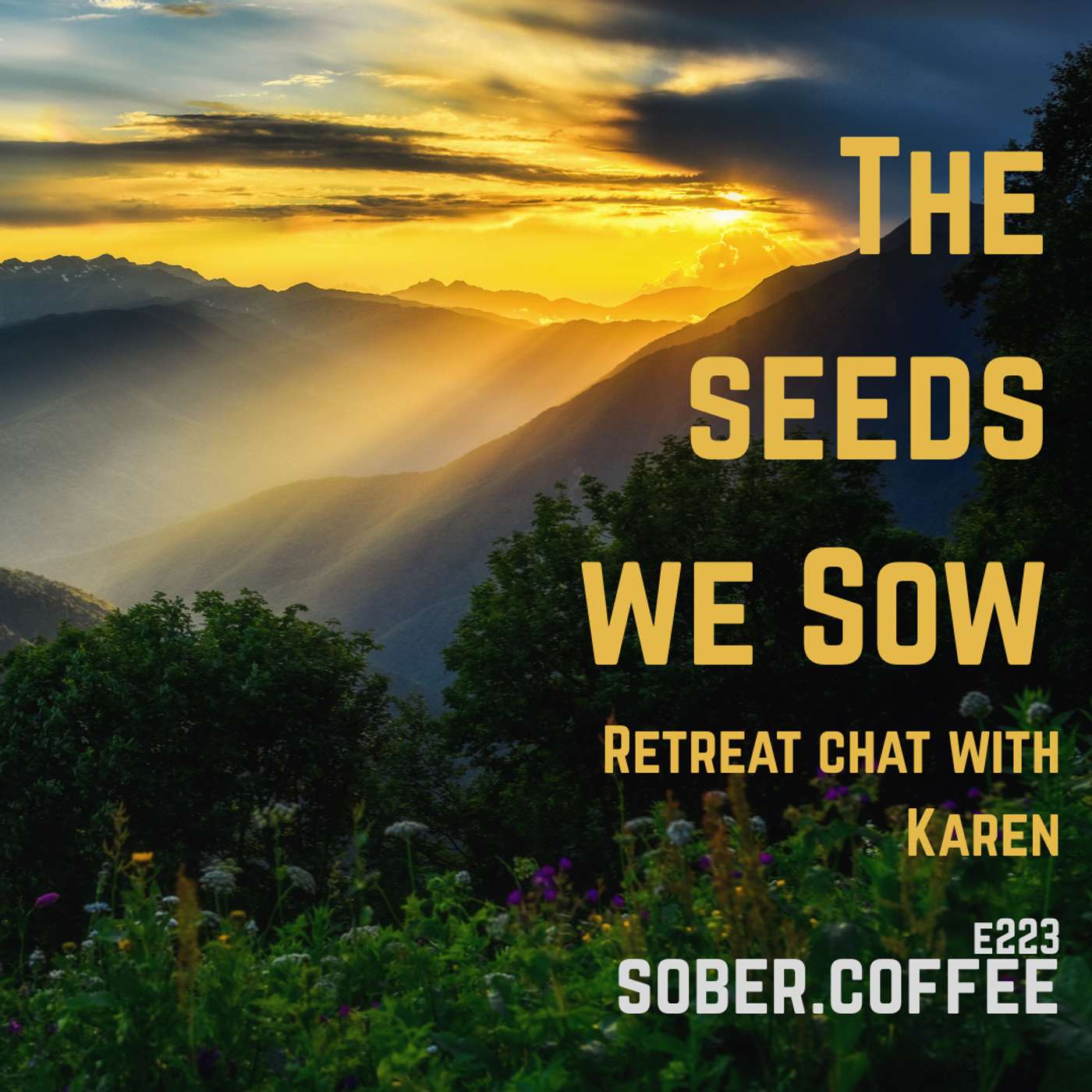 The seeds we sow - retreat chat with Karen episode artwork