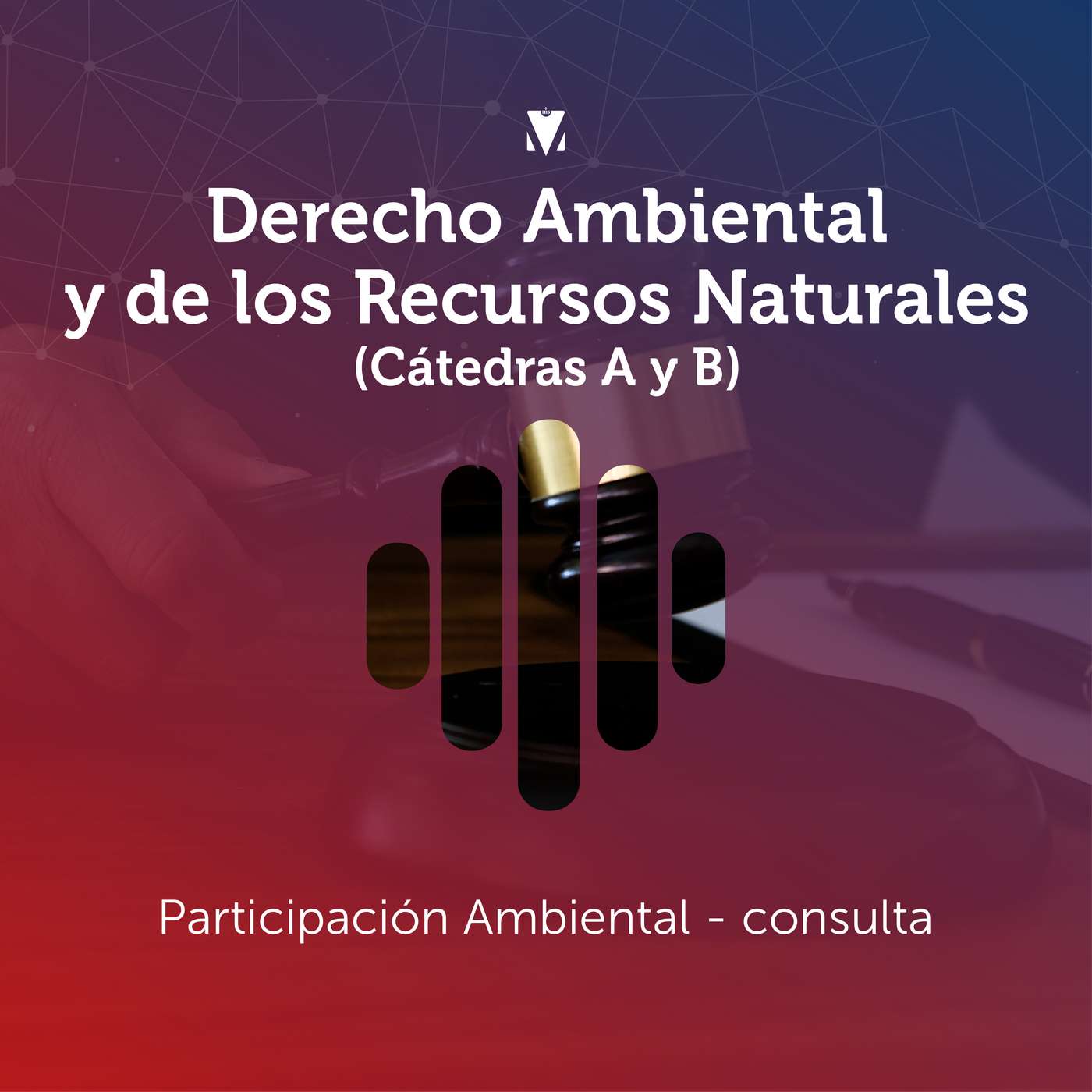 9 - DERECHO AMBIENTAL Y DE LOS RECURSOS NATURALES (CÁTEDRAS A Y B): Participación Ambiental - consulta episode artwork