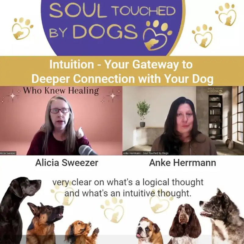 Intuition - Your Gateway to Deeper Connection with Your Dog with Alicia Sweezer