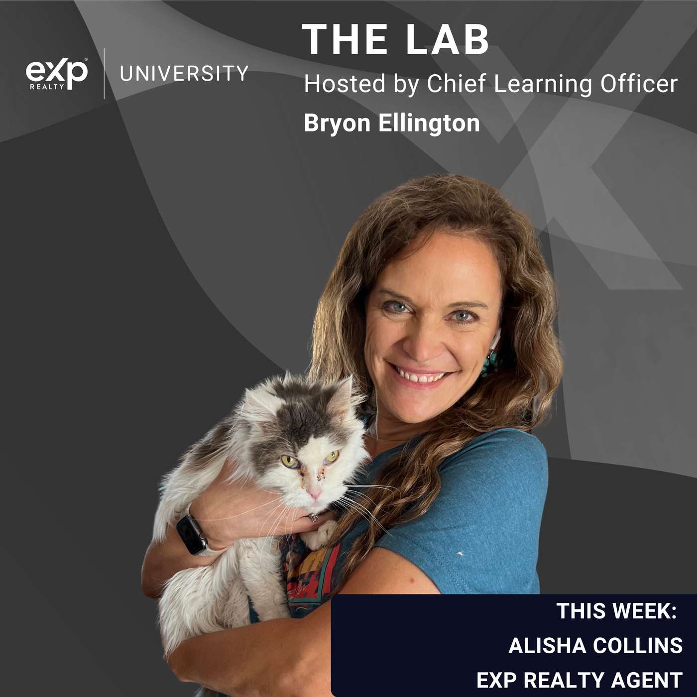 Monetize Your Personality: 21 Posts a Week & 240 Homes a Year with Alisha Collins episode artwork