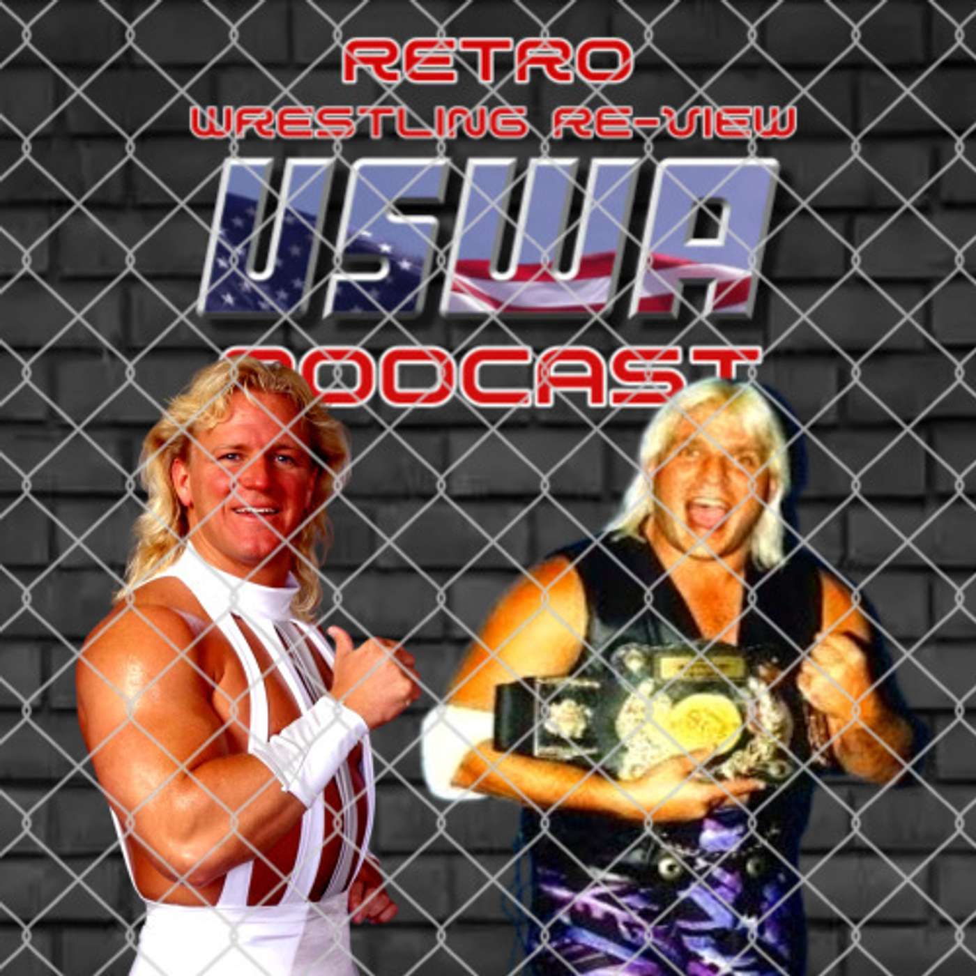 Re-View #43: USWA 9/25/93 (STEEL CAGE MATCHES... Sorta) episode artwork